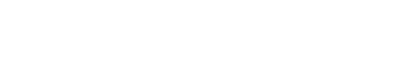 Servisit